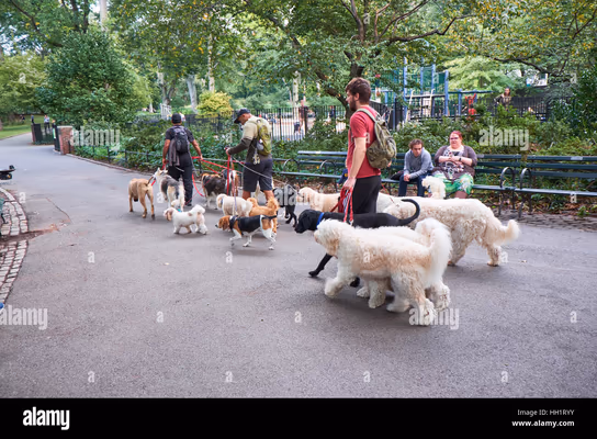 Walker Park Dog Park
